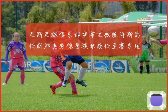 尼斯足球俱乐部宣布主教练海斯离任新帅克劳德普埃尔接任至赛季结束