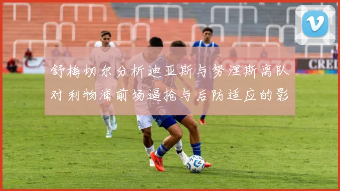 舒梅切尔分析迪亚斯与努涅斯离队对利物浦前场逼抢与后防适应的影响