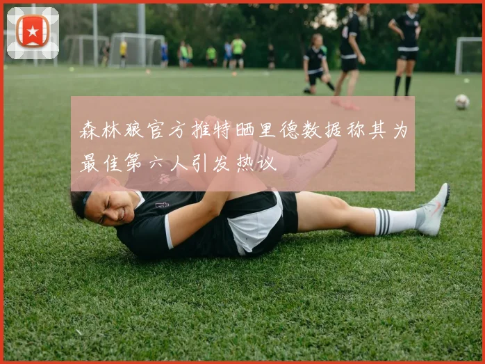 森林狼官方推特晒里德数据称其为最佳第六人引发热议