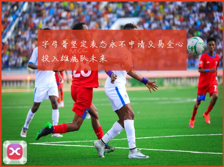 字母哥坚定表态永不申请交易全心投入雄鹿队未来