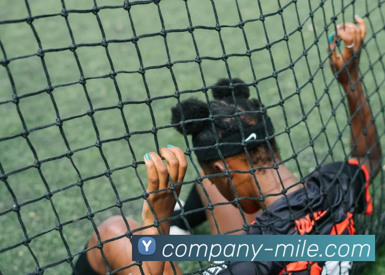 米乐体育发展历程